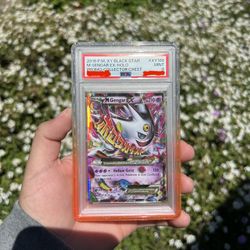 POKEMON FS/FT