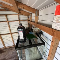 FISH/TURTLE TANK 40 GAL