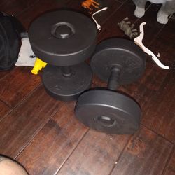 Dumbbell Set 45 Lb 
