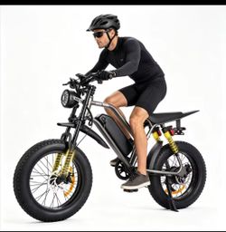 Brand new Ebike