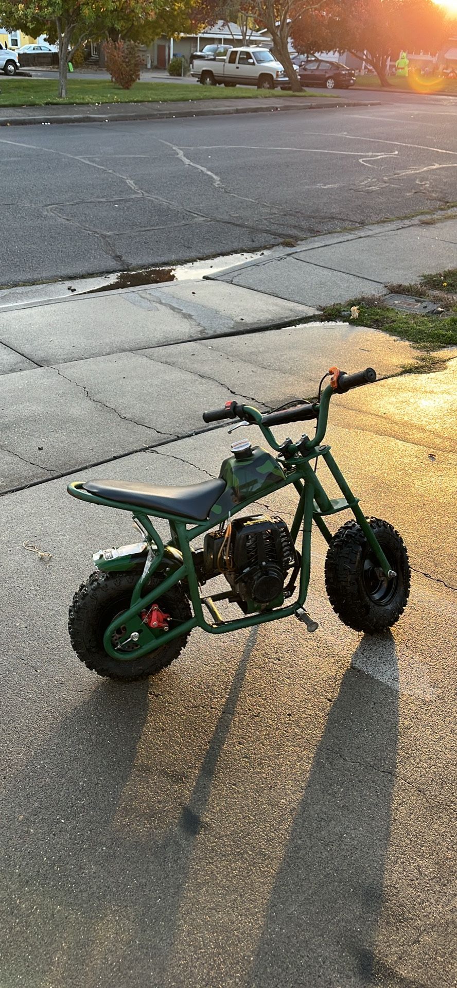 Mini Bike