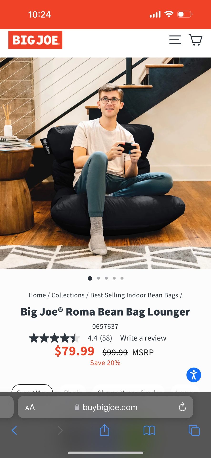 Big Joe Bean Bag Lounger