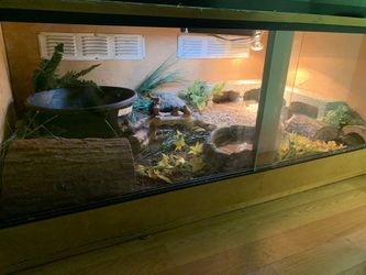 Large Enclosure
