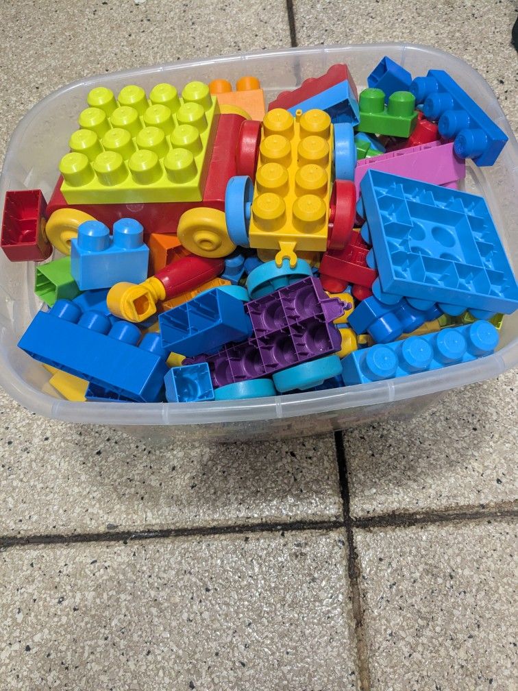 Duplo Blocks