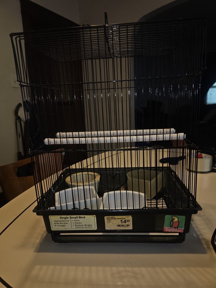 Bird Cage