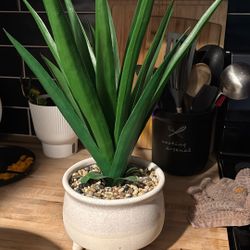 Fake Plant