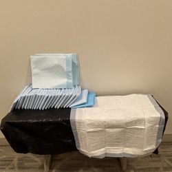 25 PET PEE or TRAINING PADS 20" x 20" - posted price is firm.