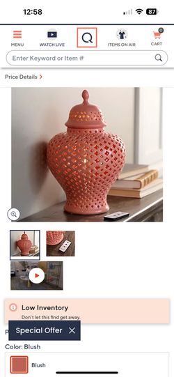 Coral Ceramic Vase That Lights Up 