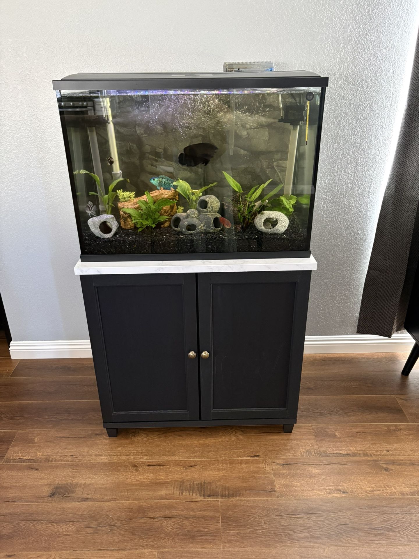 Aquarium And Stand
