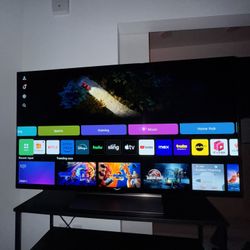 2024 LG Oled C4 55 Inch 