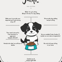 Dog Sitting 