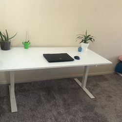 Standup Computer Table (like new And Worth $339 Plus Tax)