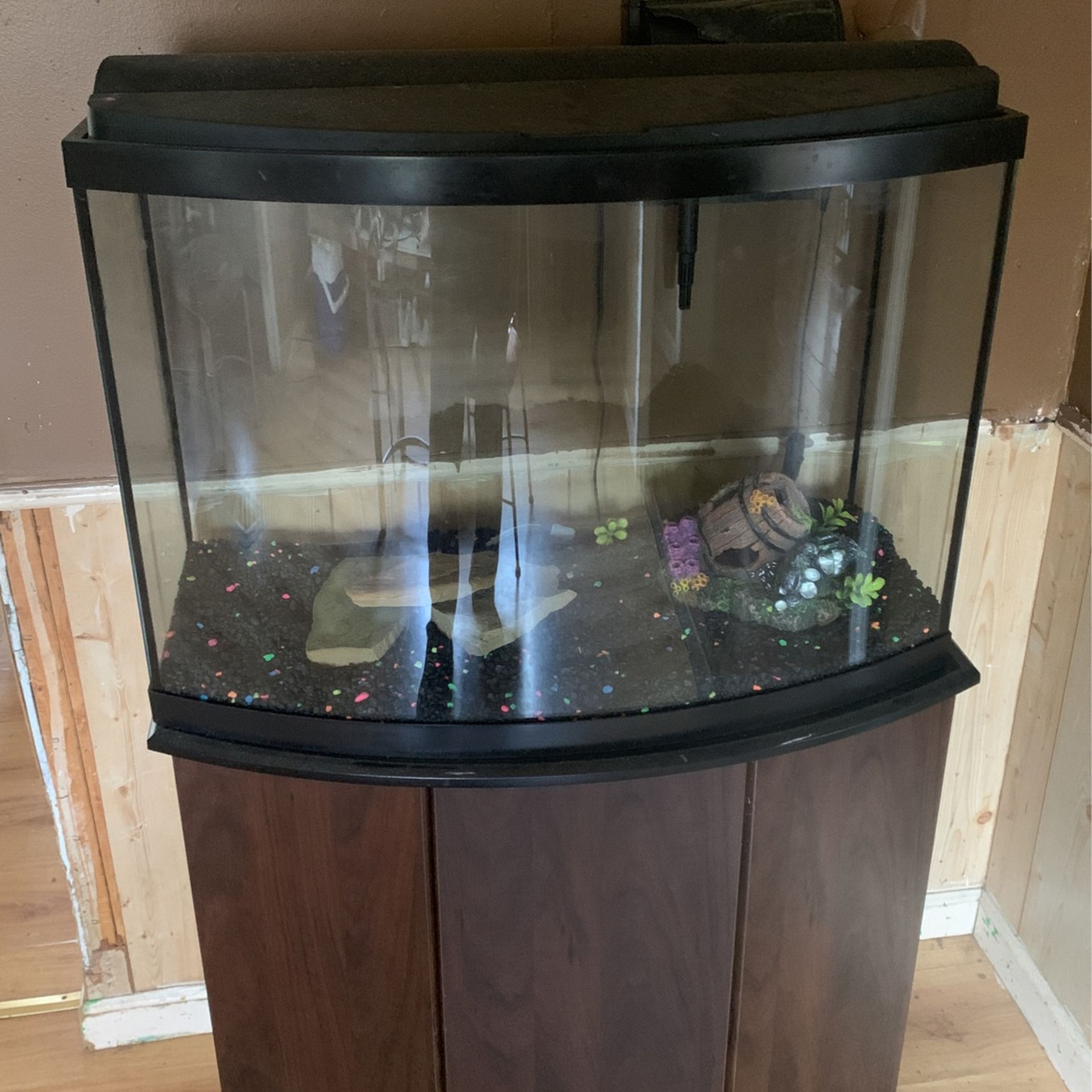 Fish Tank