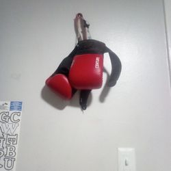 Professional AEC CENTURY SPARRING GLOVES