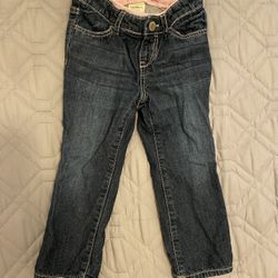 Gap Kids 2Y Pants