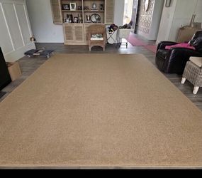 Large 10x14 Custom Area Rug – Professionally Washed & Ready! ($1,200+