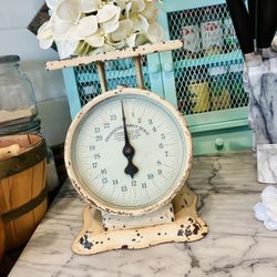 Antique Prudential Family Scale