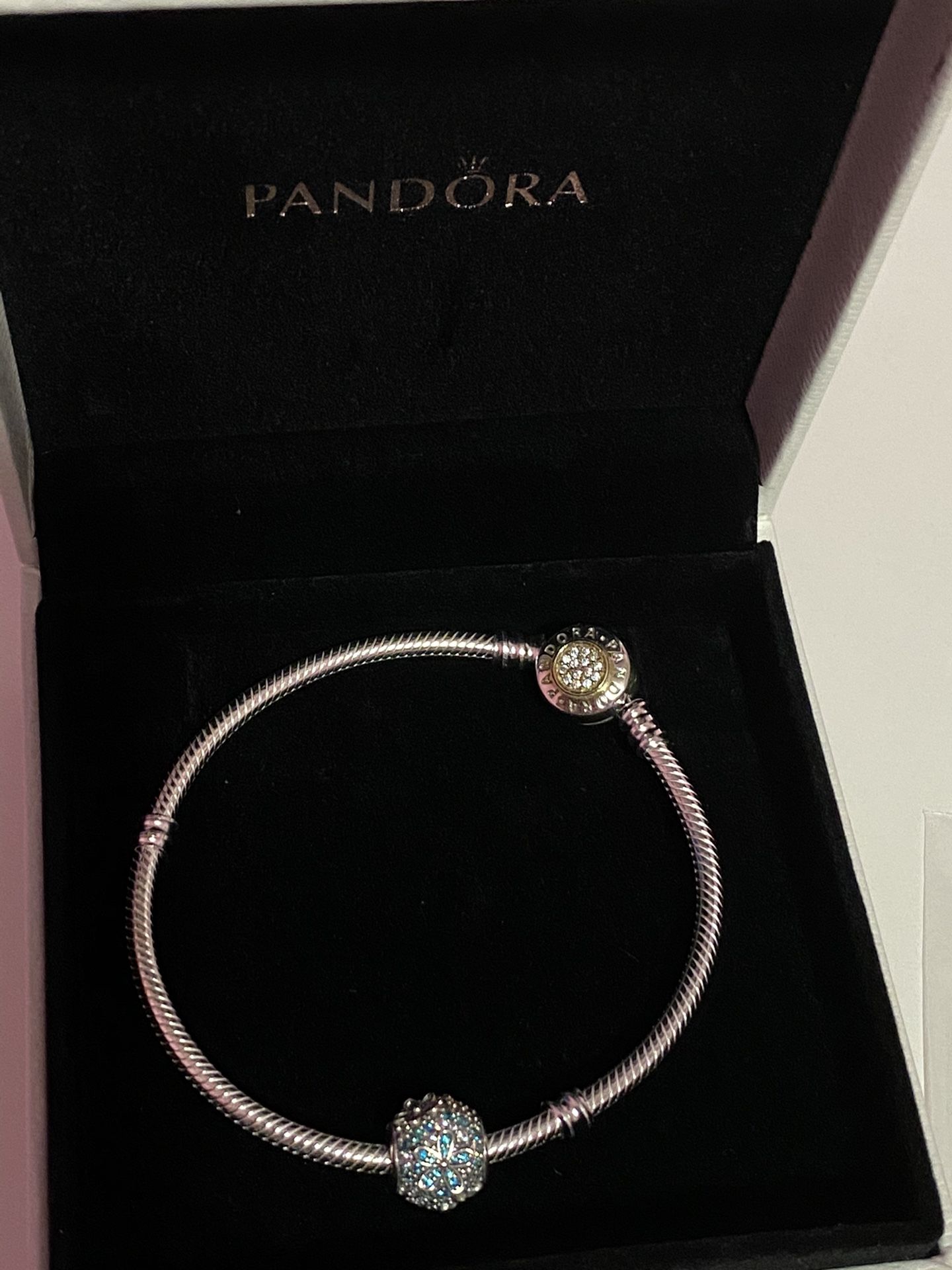 Pandora Bracelet and Charm
