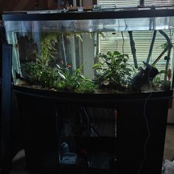70 Gal Aquarium