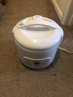 Rice/slow Cooker