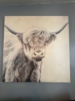 Highland Cow Wall Art