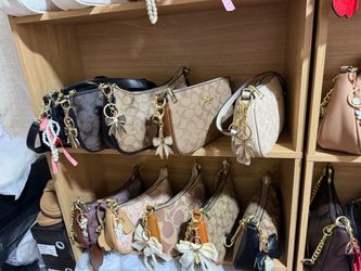 Bags coach