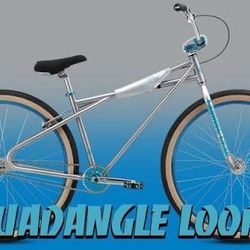 SE Racing  Quadangle 29” 2024 Silver Looptail  BMX Bike Retro Old School New cruiser