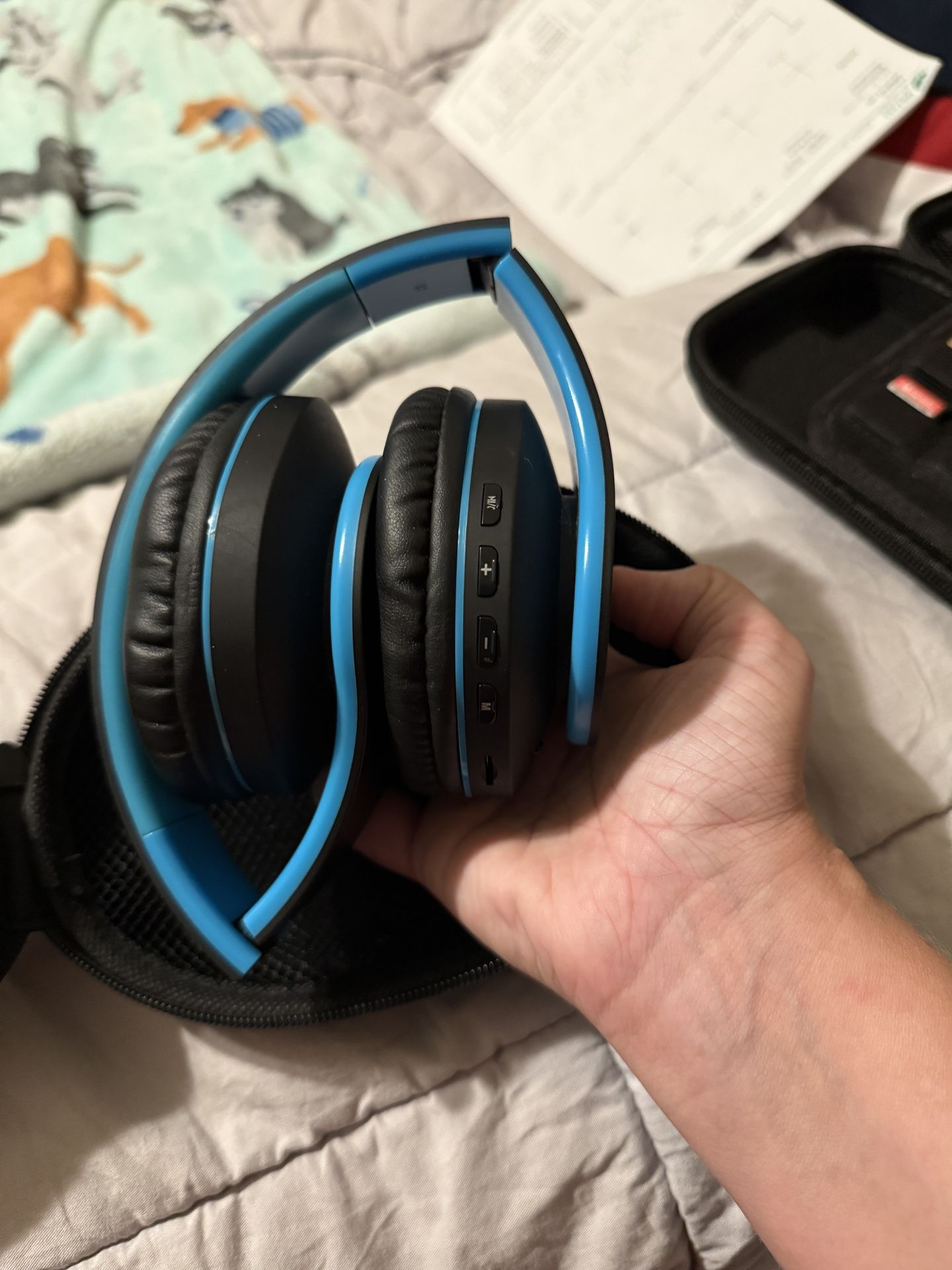 Blue Tooth Headphones