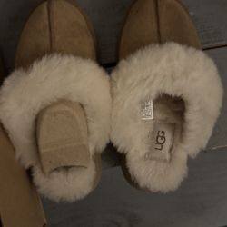 Ugg Slip Ons