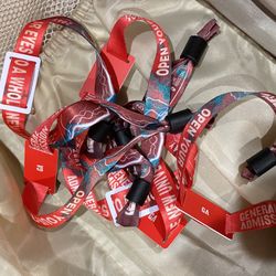 Travis Scott Astro World 2 Day Pass