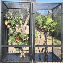 Reptile Cages and Lighting