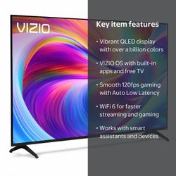 Vizio 65in TV - Quantum LED