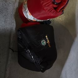 2 Adult Sleeping Bags 