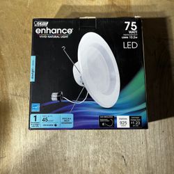 Feit Electric Enhance Light