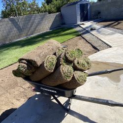 Fresh Sod And Sprinklers 