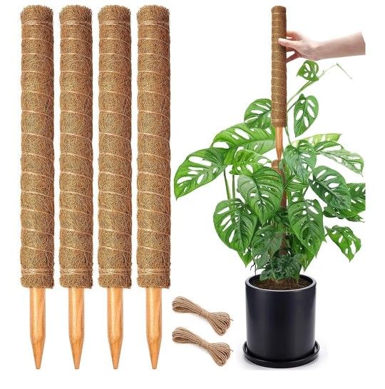 4pk Plant Climbing Stakes