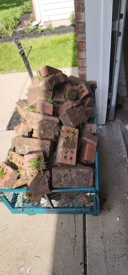Bricks