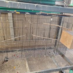 Flight Cages For Birds