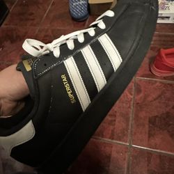 Superstar Adidas 