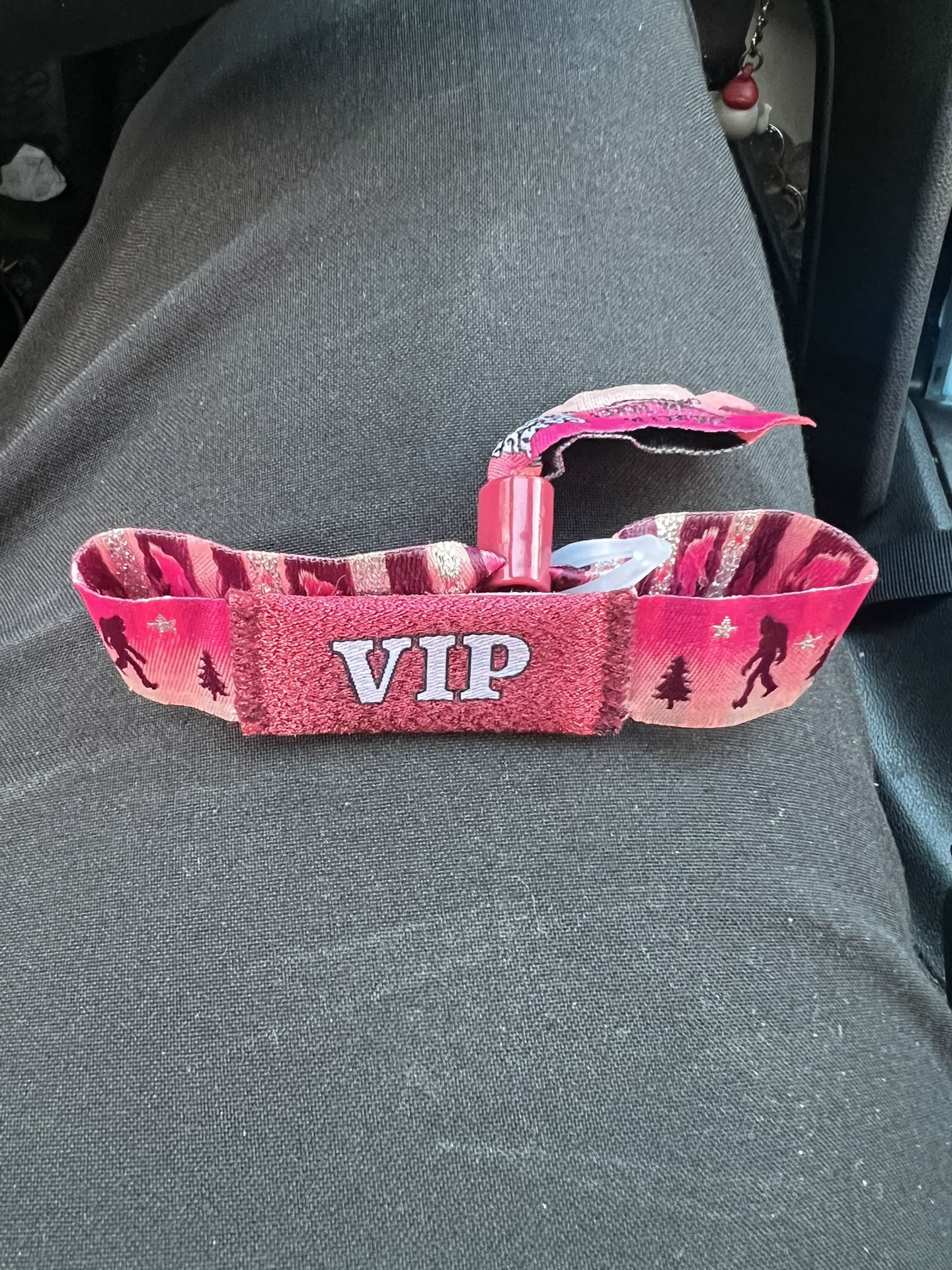 Camp Flog Gnaw VIP