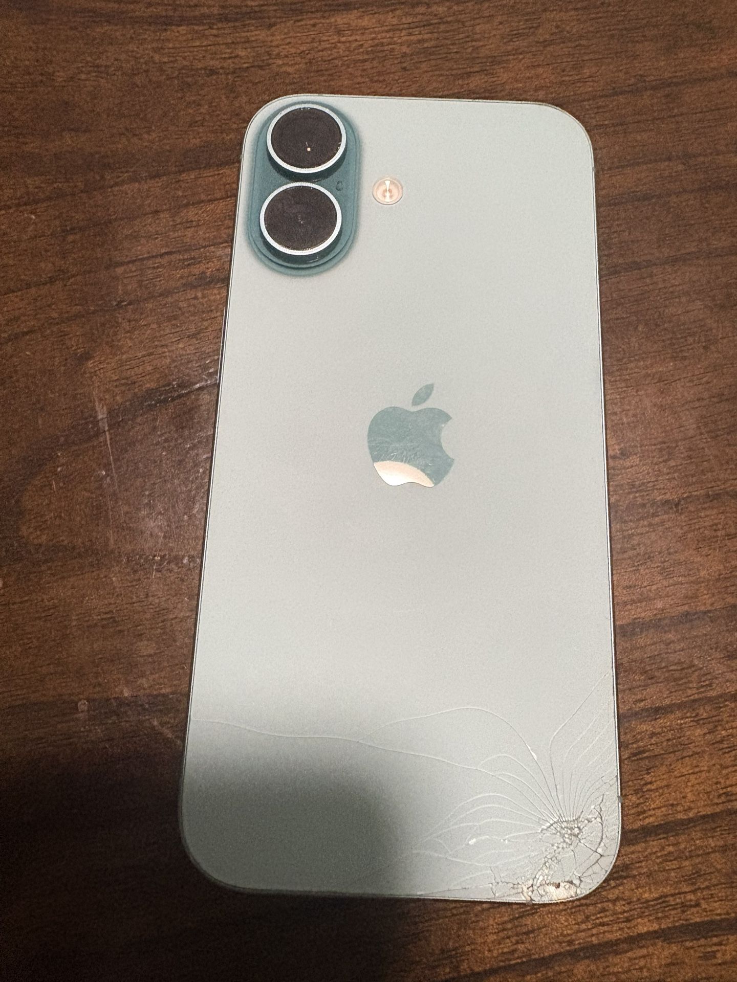 iPhone 16