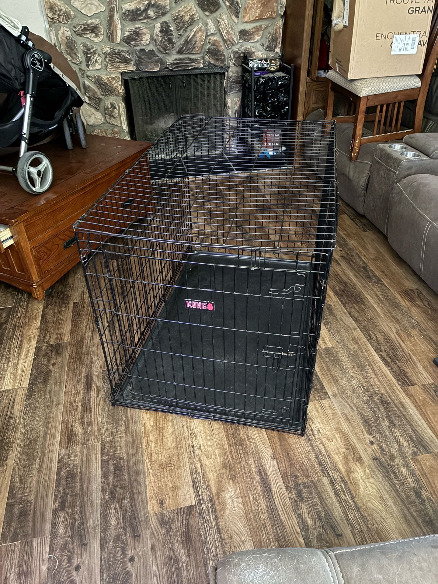 XXL Kong Dog Crate