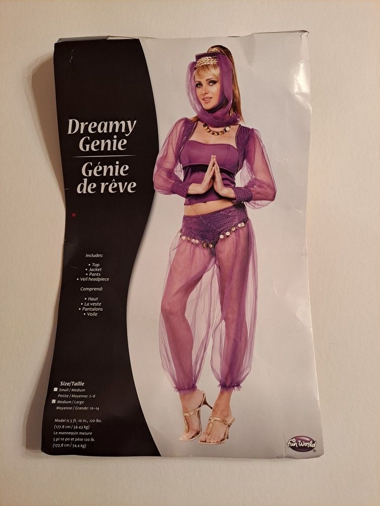 I Dream Of Jeannie Costume