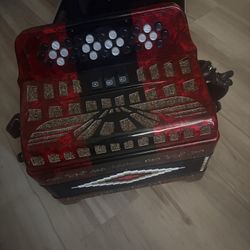 Sofíamari 34 Button 3 Registers Diatonic Accordion With Case