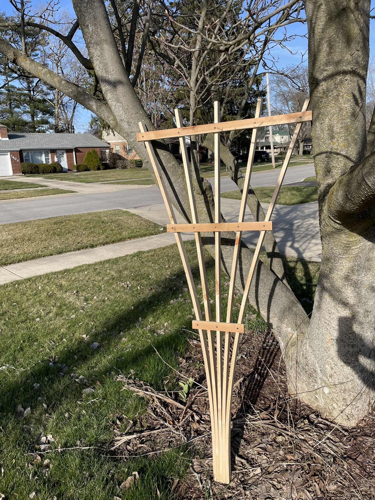 Cedar Garden Trellis