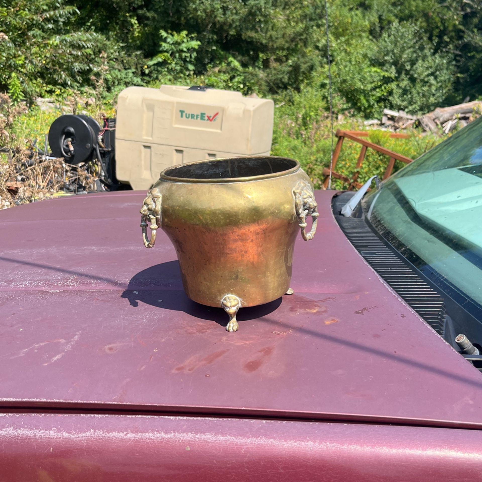 brass cache pot with lions head