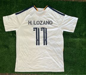 LA Galaxy fan version #11