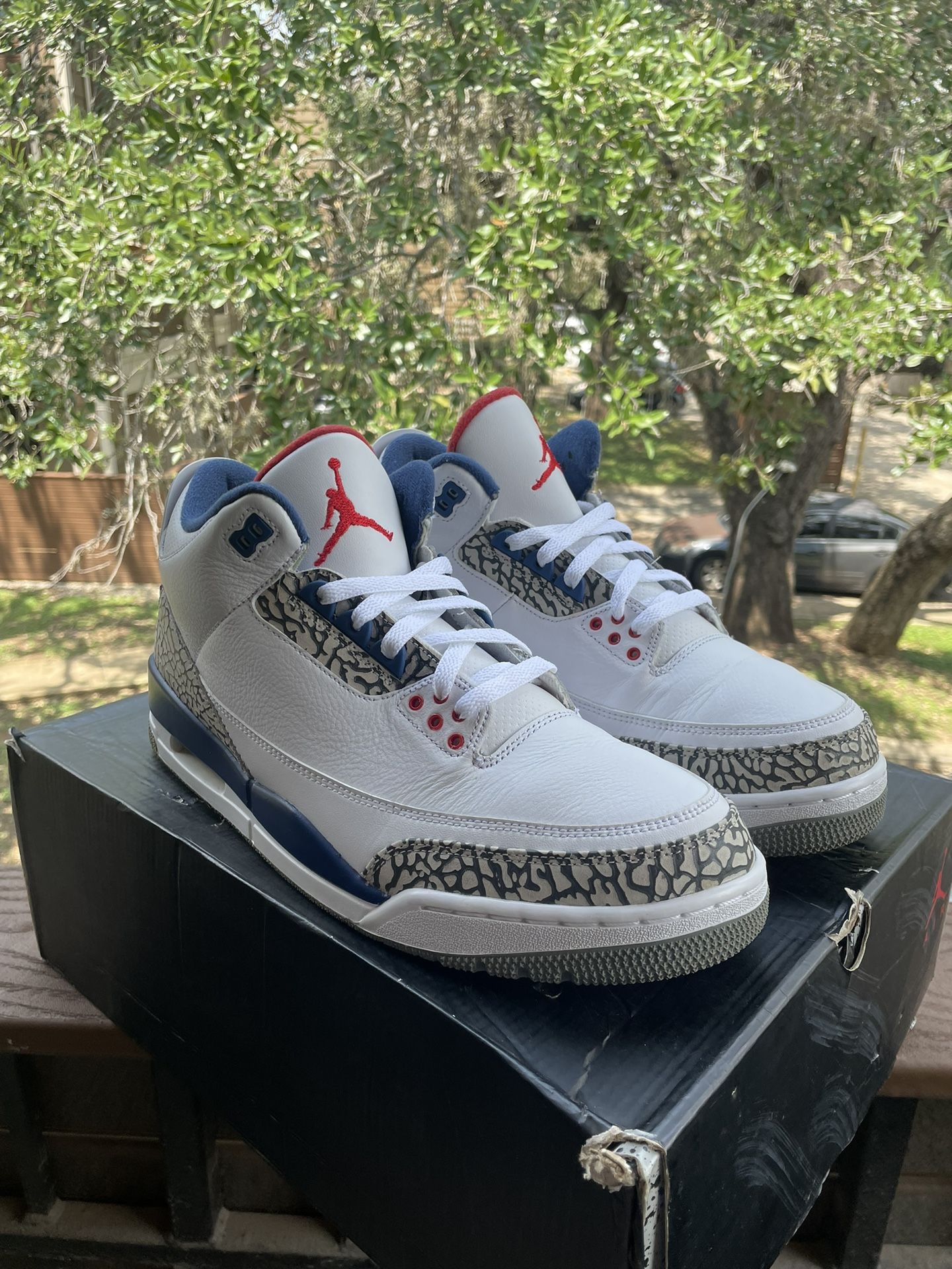 Jordan 3’s Size 12