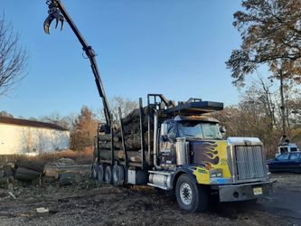 Logs for firewood