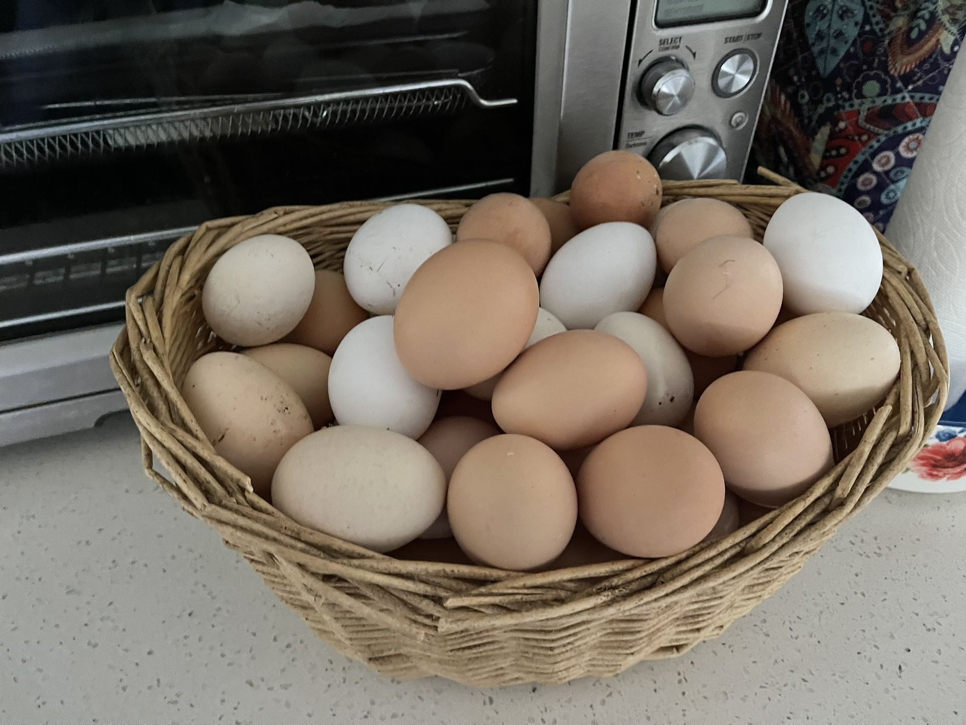 Fresh Farm Eggs